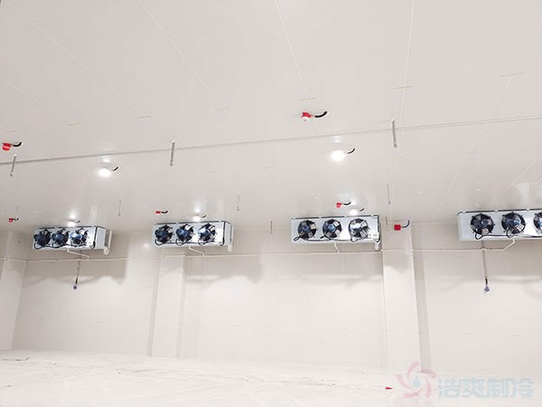 双温防爆冷库建造