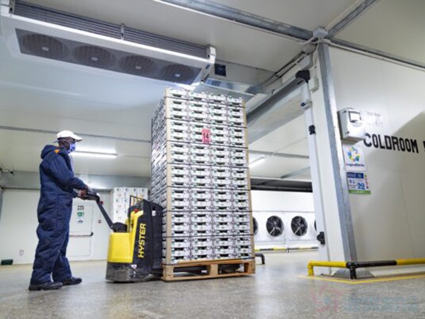 食品冷库建设成本