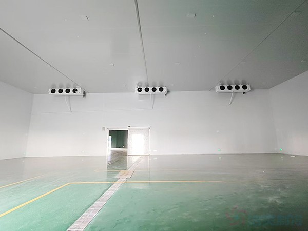 2000平冷库建设成本