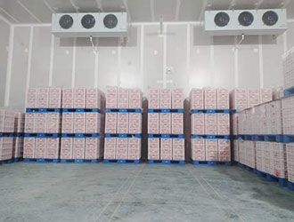 1300平西红柿气调冷库造价多少钱？建设成本与配置影响因素解析