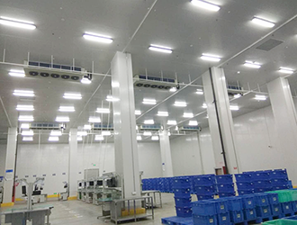 600平方米农资冷库改造多少钱？造价构成与费用预算分析