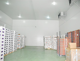 气调冷库造价高吗？建设成本、功能特点及应用优势解析