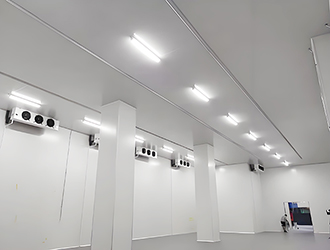 屠宰场冷冻库和恒温库有什么作用？屠宰场冷库建造用途解析