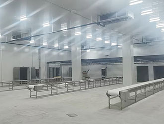 屠宰快速冷却间是什么？猪屠宰行业快速冷却间作用解析