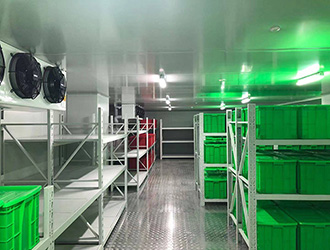疫苗冷库建设需要满足哪些条件？温控配置与验收要点解析