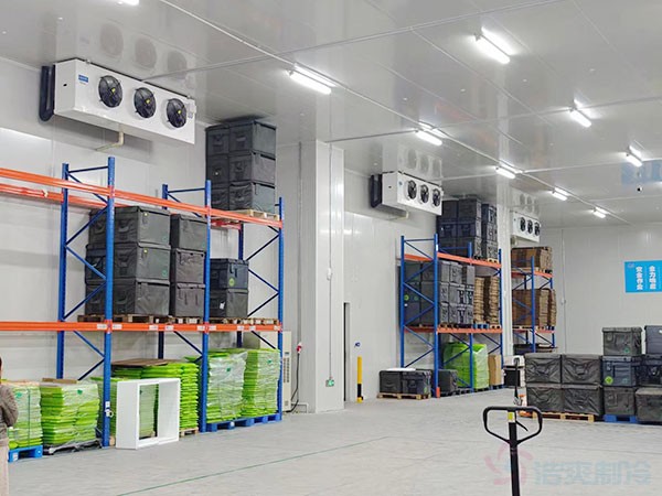 医疗冷链仓库建设