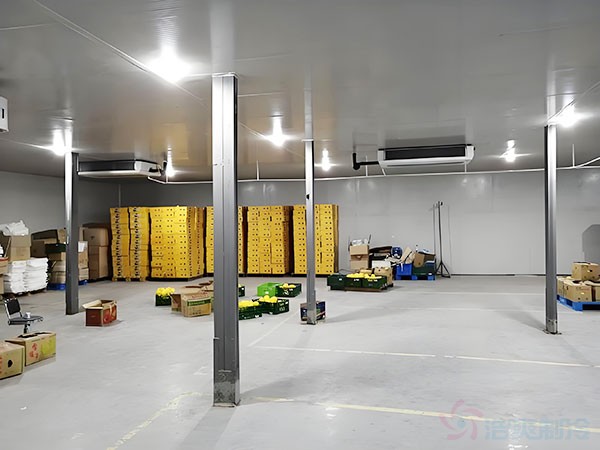 乌兹别克斯坦冷库建造指南：撒马尔罕小型冷库规划要点
