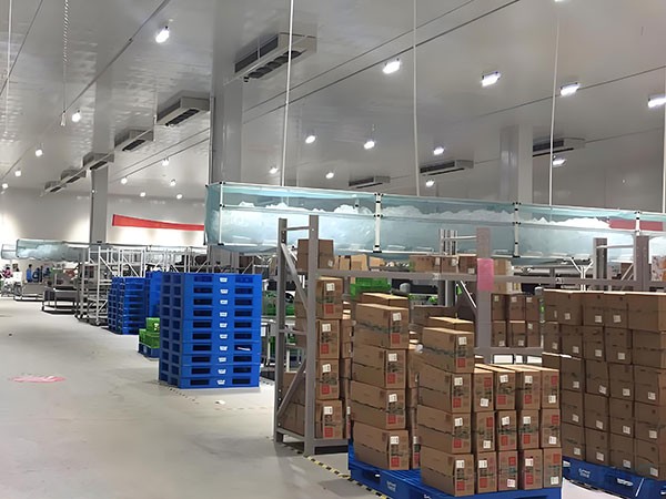 -25℃冷库每平方米造价多少？低温冷库预算与配置分析
