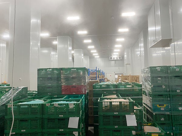 哈萨克斯坦阿拉木图果蔬冷库建造设计方案分享