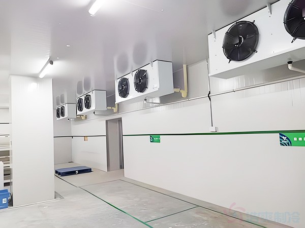 冷库建设定制厂家怎么选？品牌类型与选择要点
