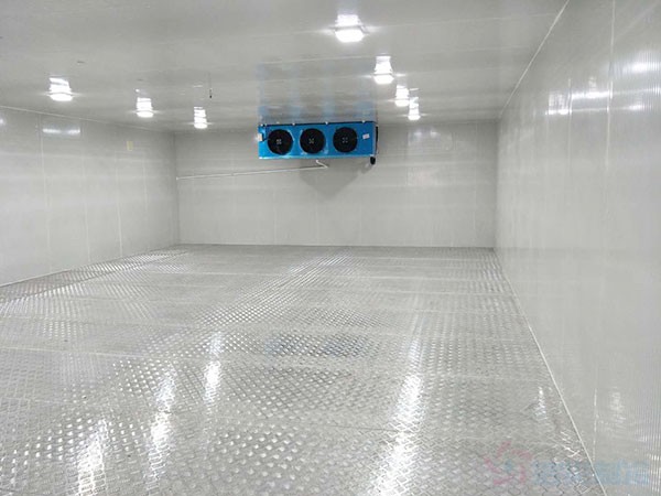 10吨肉品冷冻库造价多少钱？建设费用与配置分析