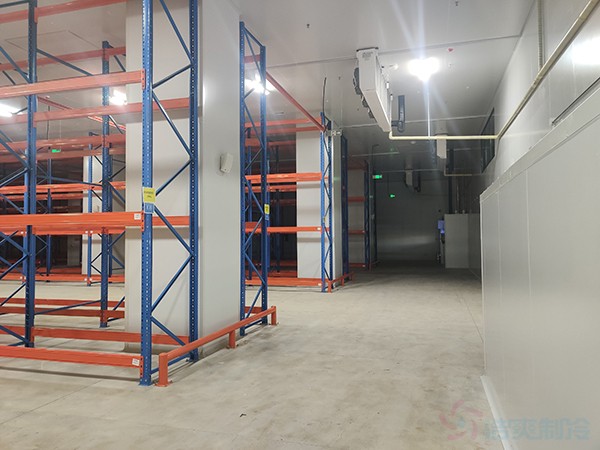 投资300万建中药材冻库，能做多大面积？