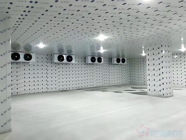 50吨冷库建造价格是多少？投资预算与影响因素