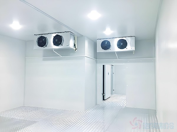 50吨冷库建造价格是多少？投资预算与影响因素