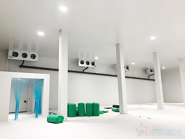 大型冷库制冷机组及管道系统施工现场