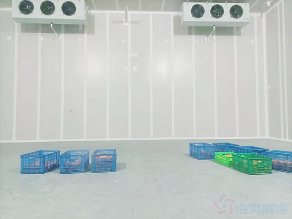 鲜食花生冷库温度与湿度监测