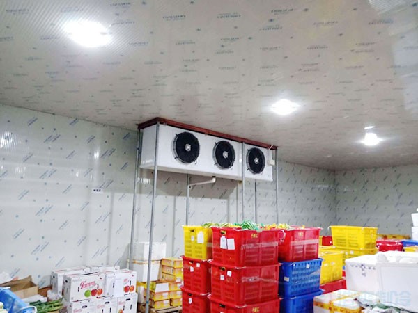 100吨果蔬保鲜库内部货位布局