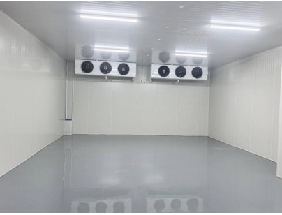 浙江金华319立方米半导体冷库工程案例：0～10℃温区与一用一备制冷配置