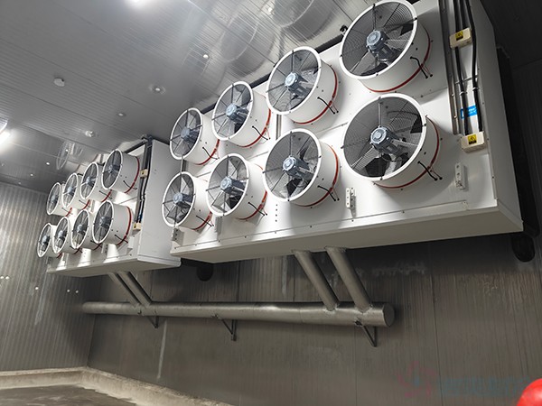 非洲渔港海鲜冷链工程怎么建设？预冷、速冻与冷藏方案