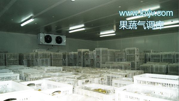 果蔬气调库