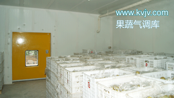 柑橘气调冷库
